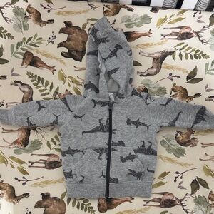Gray Dinosaur Hoodie for Kids